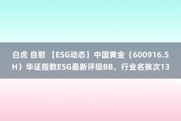 白虎 自慰 【ESG动态】中国黄金（600916.SH）华证指数ESG最新评级BB，行业名挨次13