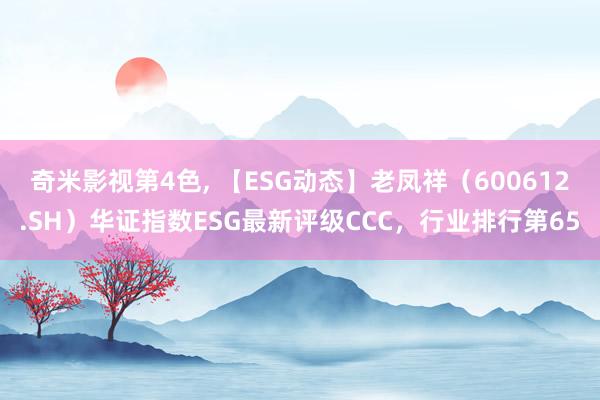 奇米影视第4色， 【ESG动态】老凤祥（600612.SH）华证指数ESG最新评级CCC，行业排行第65