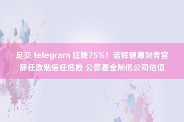 足交 telegram 狂降75%！诺辉健康财务官辞任激勉信任危险 公募基金削低公司估值