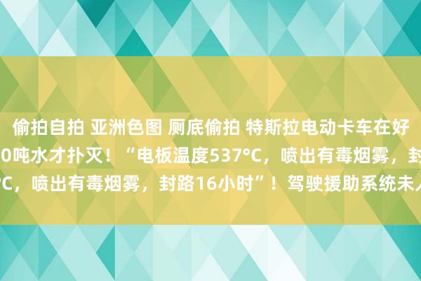 偷拍自拍 亚洲色图 厕底偷拍 特斯拉电动卡车在好意思撞树生气，用了190吨水才扑灭！“电板温度537°C，喷出有毒烟雾，封路16小时”！驾驶援助系统未入手