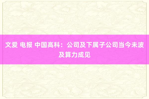 文爱 电报 中国高科：公司及下属子公司当今未波及算力成见