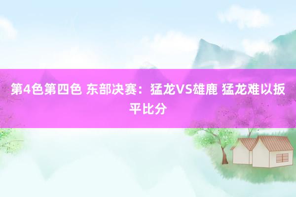 第4色第四色 东部决赛：猛龙VS雄鹿 猛龙难以扳平比分