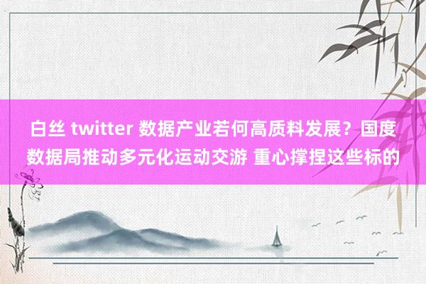 白丝 twitter 数据产业若何高质料发展？国度数据局推动多元化运动交游 重心撑捏这些标的