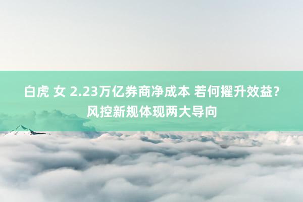 白虎 女 2.23万亿券商净成本 若何擢升效益？风控新规体现两大导向