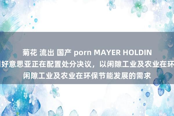 菊花 流出 国产 porn MAYER HOLDINGS(01116)：广州好意思亚正在配置处分决议，以闲隙工业及农业在环保节能发展的需求