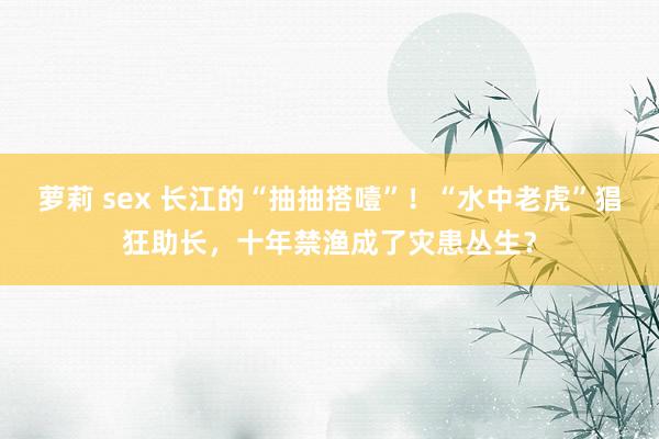 萝莉 sex 长江的“抽抽搭噎”！“水中老虎”猖狂助长，十年禁渔成了灾患丛生？