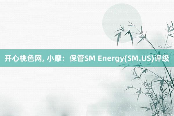 开心桃色网， 小摩：保管SM Energy(SM.US)评级