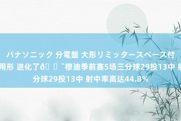 パナソニック 分電盤 大形リミッタースペース付 露出・半埋込両用形 进化了🎯穆迪季前赛5场三分球29投13中 射中率高达44.8%