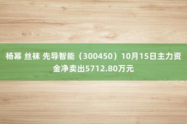 杨幂 丝袜 先导智能（300450）10月15日主力资金净卖出5712.80万元