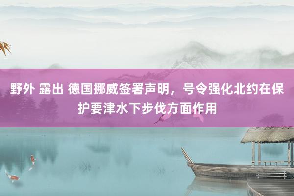 野外 露出 德国挪威签署声明，号令强化北约在保护要津水下步伐方面作用