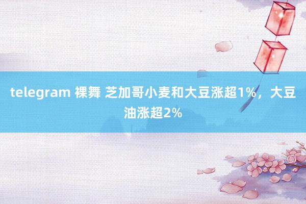 telegram 裸舞 芝加哥小麦和大豆涨超1%，大豆油涨超2%