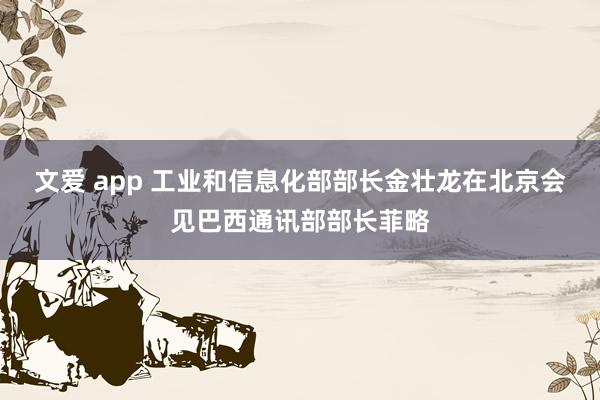 文爱 app 工业和信息化部部长金壮龙在北京会见巴西通讯部部长菲略