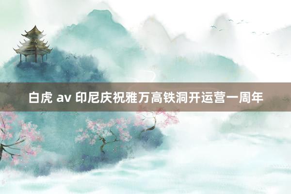 白虎 av 印尼庆祝雅万高铁洞开运营一周年