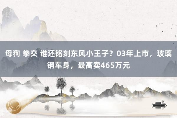 母狗 拳交 谁还铭刻东风小王子？03年上市，玻璃钢车身，最高卖465万元