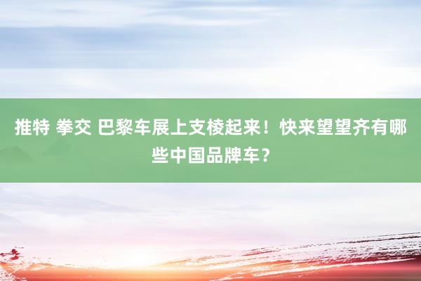 推特 拳交 巴黎车展上支棱起来！快来望望齐有哪些中国品牌车？