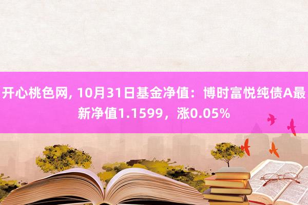 开心桃色网， 10月31日基金净值：博时富悦纯债A最新净值1.1599，涨0.05%