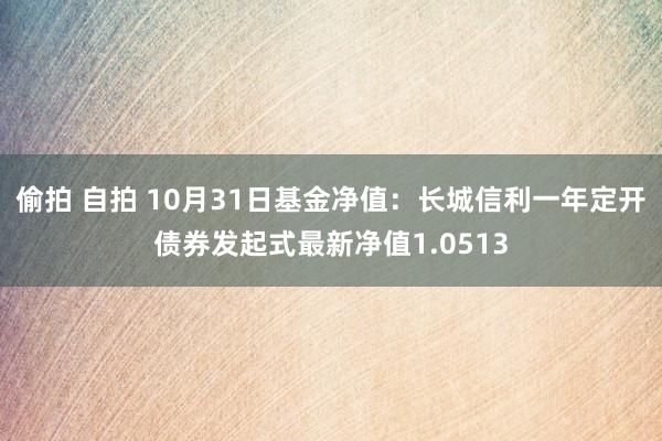 偷拍 自拍 10月31日基金净值：长城信利一年定开债券发起式最新净值1.0513