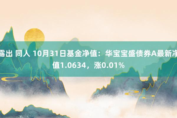 露出 同人 10月31日基金净值：华宝宝盛债券A最新净值1.0634，涨0.01%