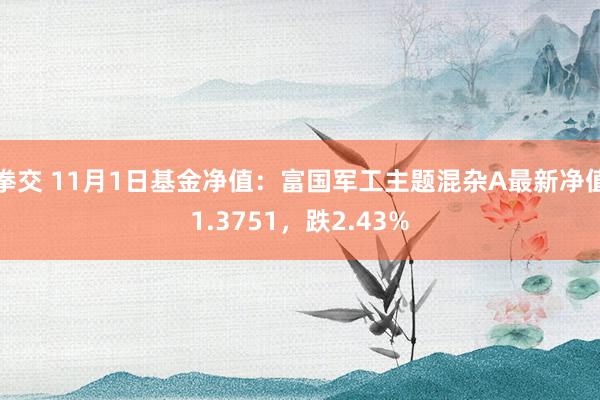 拳交 11月1日基金净值：富国军工主题混杂A最新净值1.3751，跌2.43%