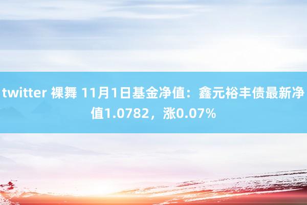 twitter 裸舞 11月1日基金净值：鑫元裕丰债最新净值1.0782，涨0.07%