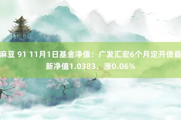 麻豆 91 11月1日基金净值：广发汇宏6个月定开债最新净值1.0383，涨0.06%