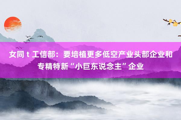 女同 t 工信部：要培植更多低空产业头部企业和专精特新“小巨东说念主”企业