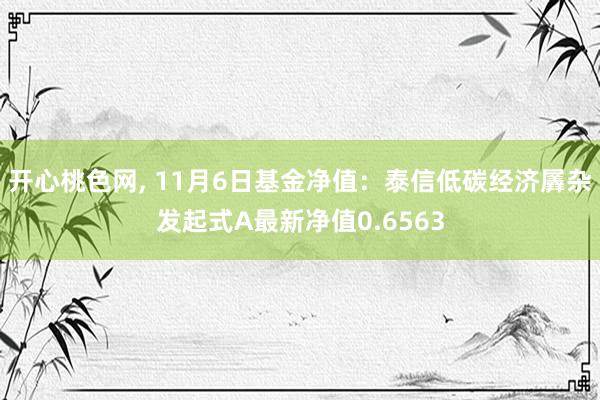 开心桃色网， 11月6日基金净值：泰信低碳经济羼杂发起式A最新净值0.6563