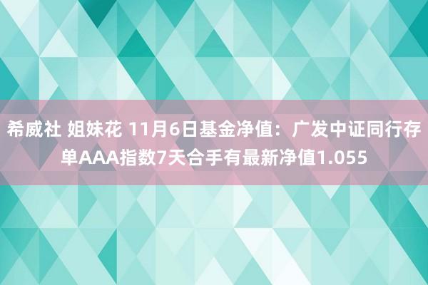 希威社 姐妹花 11月6日基金净值：广发中证同行存单AAA指数7天合手有最新净值1.055