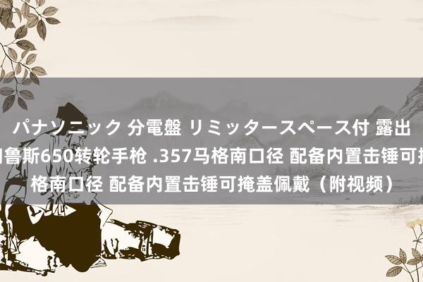 パナソニック 分電盤 リミッタースペース付 露出・半埋込両用形 陶鲁斯650转轮手枪 .357马格南口径 配备内置击锤可掩盖佩戴（附视频）