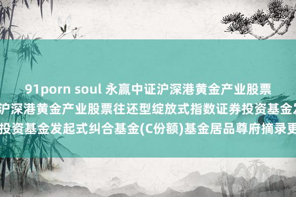 91porn soul 永赢中证沪深港黄金产业股票ETF发起纠合C: 永赢中证沪深港黄金产业股票往还型绽放式指数证券投资基金发起式纠合基金(C份额)基金居品尊府摘录更新(2024年第3号)