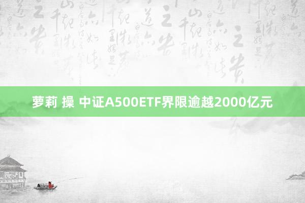 萝莉 操 中证A500ETF界限逾越2000亿元