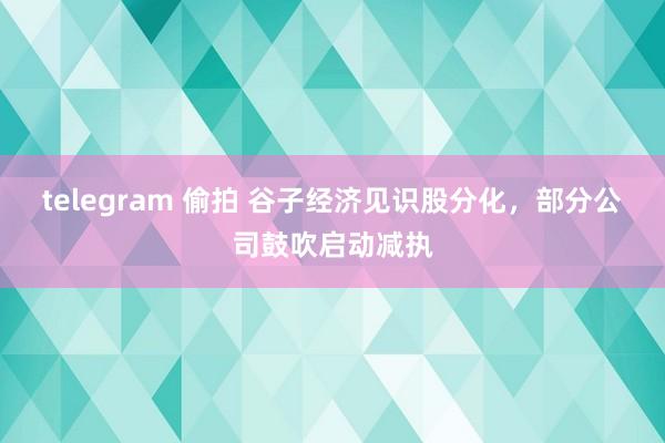 telegram 偷拍 谷子经济见识股分化，部分公司鼓吹启动减执