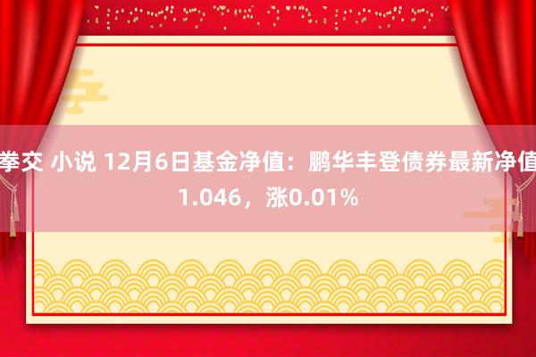 拳交 小说 12月6日基金净值：鹏华丰登债券最新净值1.046，涨0.01%