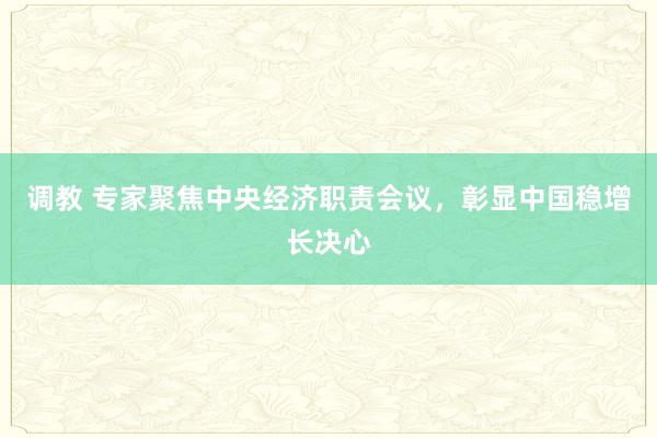 调教 专家聚焦中央经济职责会议，彰显中国稳增长决心