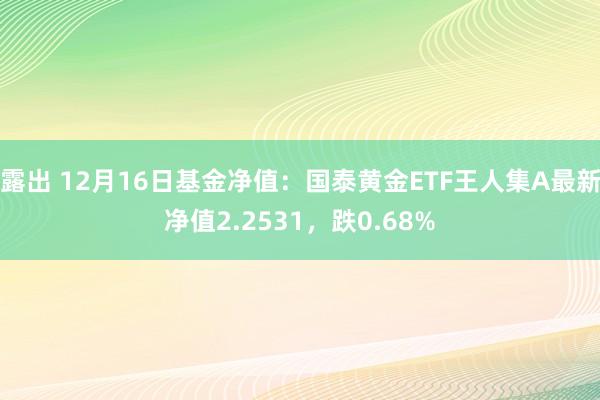 露出 12月16日基金净值：国泰黄金ETF王人集A最新净值2.2531，跌0.68%