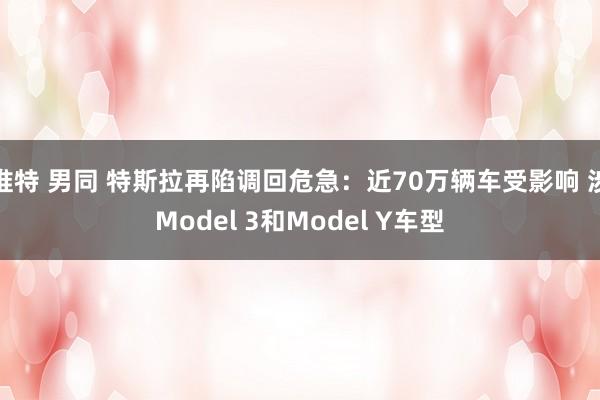 推特 男同 特斯拉再陷调回危急：近70万辆车受影响 涉Model 3和Model Y车型