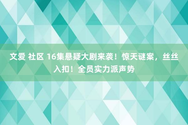 文爱 社区 16集悬疑大剧来袭！惊天谜案，丝丝入扣！全员实力派声势