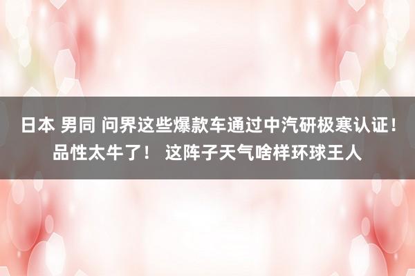 日本 男同 问界这些爆款车通过中汽研极寒认证！品性太牛了！ 这阵子天气啥样环球王人