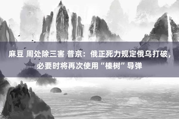 麻豆 周处除三害 普京：俄正死力规定俄乌打破，必要时将再次使用“榛树”导弹