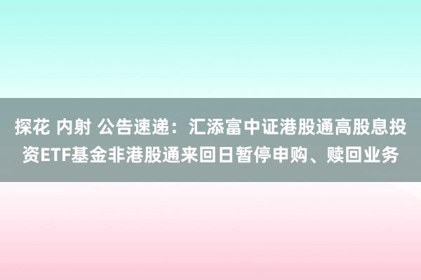 探花 内射 公告速递：汇添富中证港股通高股息投资ETF基金非港股通来回日暂停申购、赎回业务