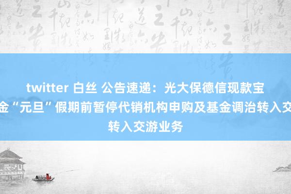 twitter 白丝 公告速递：光大保德信现款宝货币基金“元旦”假期前暂停代销机构申购及基金调治转入交游业务