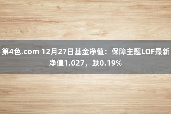 第4色.com 12月27日基金净值：保障主题LOF最新净值1.027，跌0.19%