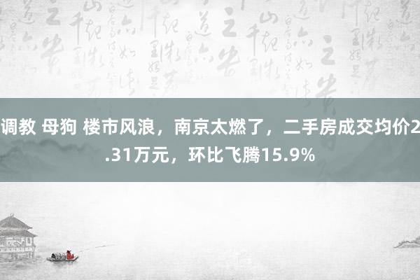 调教 母狗 楼市风浪，南京太燃了，二手房成交均价2.31万元，环比飞腾15.9%