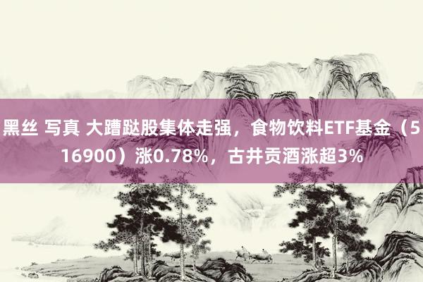 黑丝 写真 大蹧跶股集体走强，食物饮料ETF基金（516900）涨0.78%，古井贡酒涨超3%