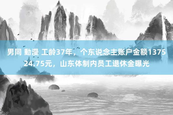 男同 動漫 工龄37年，个东说念主账户金额137524.75元，山东体制内员工退休金曝光