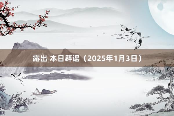 露出 本日辟谣（2025年1月3日）