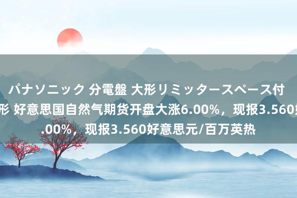 パナソニック 分電盤 大形リミッタースペース付 露出・半埋込両用形 好意思国自然气期货开盘大涨6.00%，现报3.560好意思元/百万英热