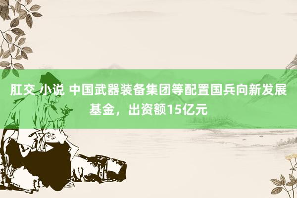 肛交 小说 中国武器装备集团等配置国兵向新发展基金，出资额15亿元