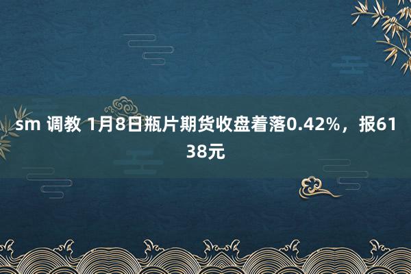 sm 调教 1月8日瓶片期货收盘着落0.42%，报6138元