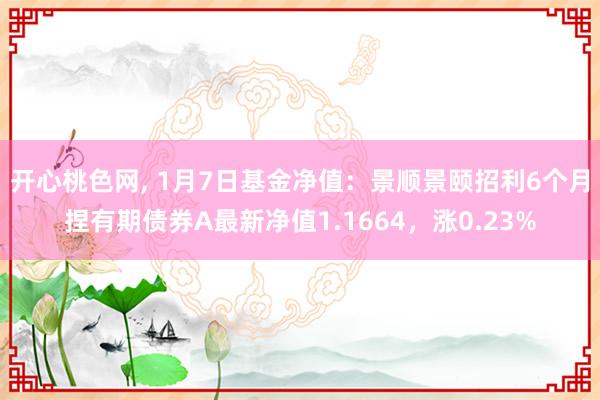 开心桃色网， 1月7日基金净值：景顺景颐招利6个月捏有期债券A最新净值1.1664，涨0.23%